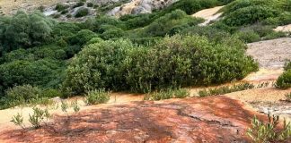 Erzincan’da doğa harikası 3 rota Erzincan’da doğa harikası 3 rota: Otlukbeli Gölü, Konarlı Şelalesi, Abreng Aziz David Kilisesi.