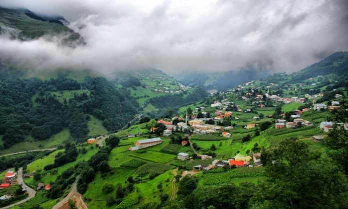 Hamsiköy