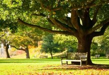 İşte Türkiye’nin sakin şehirleri