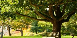 İşte Türkiye’nin sakin şehirleri