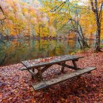 Türkiye’de Milli Park Sayısı 50’ye, Korunan Alan Sayısı 679’a Yükseldi