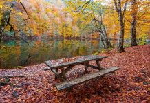 Türkiye’de Milli Park Sayısı 50’ye, Korunan Alan Sayısı 679’a Yükseldi