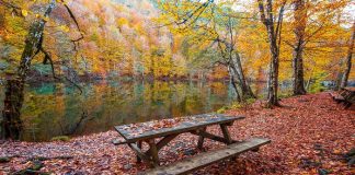 Türkiye’de Milli Park Sayısı 50’ye, Korunan Alan Sayısı 679’a Yükseldi