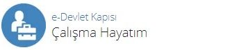 Çok kullanışlı e-Devlet özellikleri