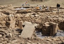 Yabancı Profesörler Karahantepe İle İlgili Neler Söyledi?