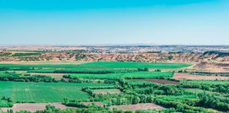 Diyarbakır Surları ve Hevsel Bahçeleri Tehlike Altında mı?