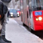 İBB evcil hayvanlarla seyahat şartlarını düzenledi Evcil Hayvanla Seyahat Prosedürleri: Bilmeniz Gerekenler