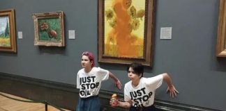 Aktivistlerin amacı ne?