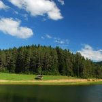 Ormanlara Giriş Yasağı: İstanbul Dahil Hangi İllerde Yasak Var? Yaz Aylarında Ormanlara Giriş Yasağı: İstanbul Dahil Hangi İllerde Yasak Var?