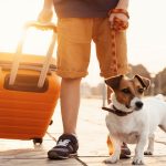 Haziran Ayında Türkiye’den Vizesiz Gidilebilecek Tatil Cennetleri Bütçenizi Koruyan Tatil Seçenekleri: Ekonomik Oteller Listesi