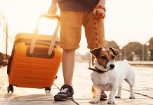 Haziran Ayında Türkiye’den Vizesiz Gidilebilecek Tatil Cennetleri Bütçenizi Koruyan Tatil Seçenekleri: Ekonomik Oteller Listesi