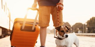 Haziran Ayında Türkiye’den Vizesiz Gidilebilecek Tatil Cennetleri Bütçenizi Koruyan Tatil Seçenekleri: Ekonomik Oteller Listesi