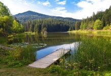 Sinop 8 Ayda 1 Milyon 300 Bin Ziyaretçi Ağırladı Sinop, 8 Ayda 1 Milyon 300 Bin Ziyaretçi Ağırladı