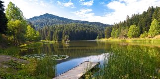 Sinop 8 Ayda 1 Milyon 300 Bin Ziyaretçi Ağırladı Sinop, 8 Ayda 1 Milyon 300 Bin Ziyaretçi Ağırladı