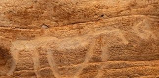 İspanya’da 100’den fazla tarih öncesi gravür bulundu
