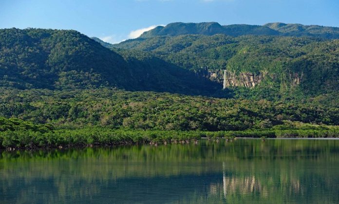 Iriomote adası