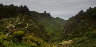 Dünyanın en ücra adasında çalışacak biri aranıyor