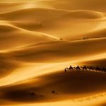 Dünyanın en büyük çölünde 1 gün: Sahra Çölü gezginlerine tüyolar Sahra Çölü