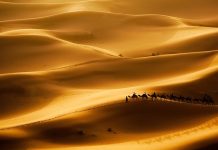 Dünyanın en büyük çölünde 1 gün: Sahra Çölü gezginlerine tüyolar Sahra Çölü