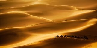 Dünyanın en büyük çölünde 1 gün: Sahra Çölü gezginlerine tüyolar Sahra Çölü