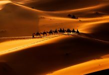 Kuzey Afrika’nın Parlayan Yıldızı: Fas, Turist Akınına Uğradı Sahra Çölü