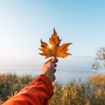 İşte Sapanca’nın Gözdesi 5 Otel İşte Sapanca’nın Gözdesi 5 Otel