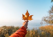 İşte Sapanca’nın Gözdesi 5 Otel İşte Sapanca’nın Gözdesi 5 Otel