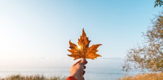 İşte Sapanca’nın Gözdesi 5 Otel İşte Sapanca’nın Gözdesi 5 Otel