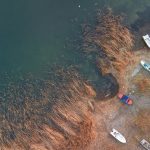 Sapanca Gölü Alarm Veriyor: Kuraklık Tehdidi Su Kalitesini Düşürüyor