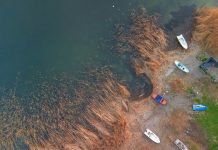 Sapanca Gölü Alarm Veriyor: Kuraklık Tehdidi Su Kalitesini Düşürüyor