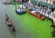 Venedik’in suları floresan yeşiline döndü