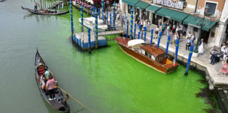 Venedik’in suları floresan yeşiline döndü