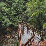 Karadeniz’in Saklı Cenneti: Zonguldak’ta Gezilecek Yerler Zonguldak'ta gezilecek yerler