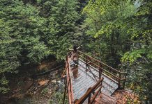 Karadeniz’in Saklı Cenneti: Zonguldak’ta Gezilecek Yerler Zonguldak'ta gezilecek yerler