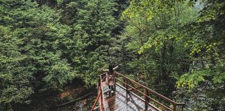 Karadeniz’in Saklı Cenneti: Zonguldak’ta Gezilecek Yerler Zonguldak'ta gezilecek yerler