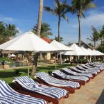 “2024 Sezonu 2025’in Nasıl Geçeceğini Gösteriyor” 2024 Sezonu