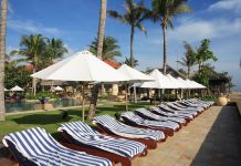 “2024 Sezonu 2025’in Nasıl Geçeceğini Gösteriyor” 2024 Sezonu