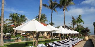 “2024 Sezonu 2025’in Nasıl Geçeceğini Gösteriyor” 2024 Sezonu