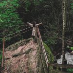 Karadeniz’in Batı Ucu: Düzce Gezi Rehberi