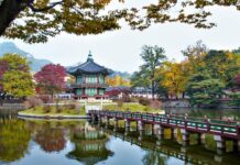 Asya’nın Gizli Cenneti: Güney Kore’de Dostluğu ve Kültürü Keşfetmek Güney Kore turları