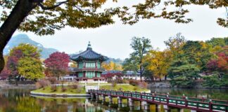 Asya’nın Gizli Cenneti: Güney Kore’de Dostluğu ve Kültürü Keşfetmek Güney Kore turları