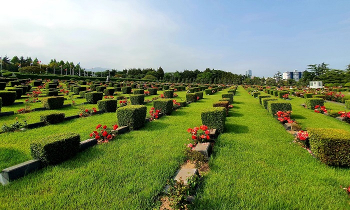 Güney Kore turları