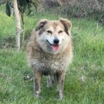 Yandaş Medyanın İstanbul Valisine Yönelik Manipülasyonları Ortaya Çıktı Yandaş Medyanın İstanbul Valisine Yönelik Manipülasyonları Ortaya Çıktı