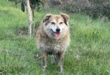 Yandaş Medyanın İstanbul Valisine Yönelik Manipülasyonları Ortaya Çıktı Yandaş Medyanın İstanbul Valisine Yönelik Manipülasyonları Ortaya Çıktı