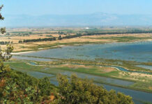 Aydın’da Bir Bölge “Hassas Alan” İlan Edildi Aydın’da Bir Bölge “Hassas Alan”