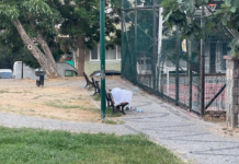 Yeni İstanbul’a Hazırlanın: Parklar ve Köprü Altları Artık Evsizlerin Yaşam Alanı Yeni İstanbul'a Hazırlanın: Parklar ve Köprü Altları Artık Evsizlerin Yaşam Alanı