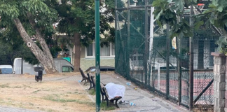 Yeni İstanbul’a Hazırlanın: Parklar ve Köprü Altları Artık Evsizlerin Yaşam Alanı Yeni İstanbul'a Hazırlanın: Parklar ve Köprü Altları Artık Evsizlerin Yaşam Alanı