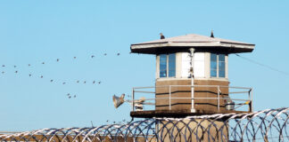 Türkiye’de Kaç Cezaevi Var ve Bu Cezaevlerinde Ne Kadar Hükümlü / Tutuklu Var? Türkiye'de Kaç Cezaevi Var