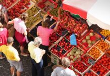 Sud de France örneğinde Kolektif Markalar ve Yerel Kalkınma
