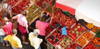 Sud de France örneğinde Kolektif Markalar ve Yerel Kalkınma